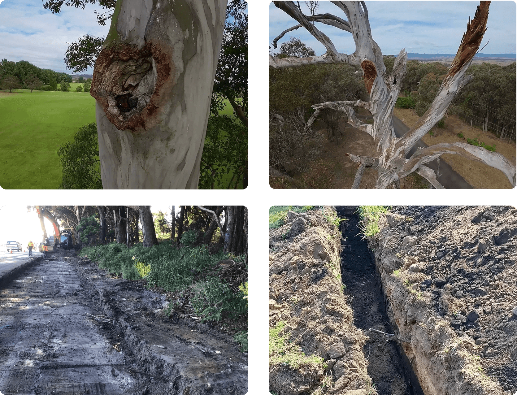 Four images: A tree with a hollow trunk, a tree with a broken branch, a dug-up road with construction work visible, and a narrow trench in the ground.