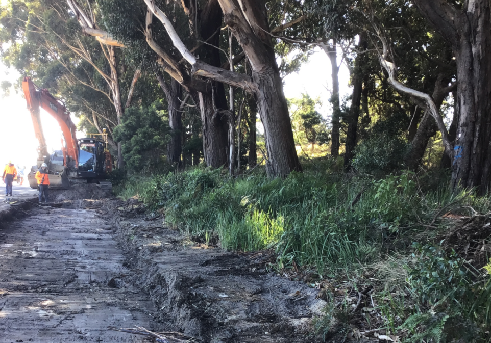 Construction workers with an excavator clear a roadside area lined with tall trees and dense grass.